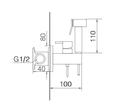 Ireland chrome built-in bidet faucet by Imex