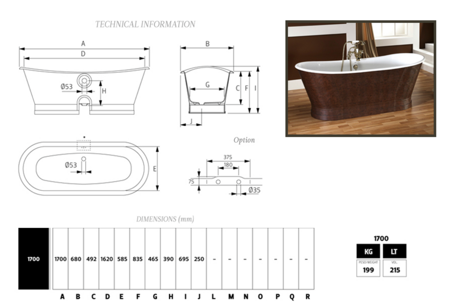 Vintage style antique cast iron bathtub
