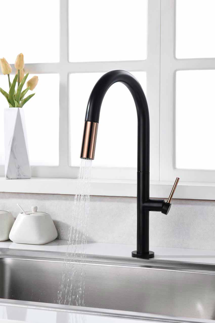 Imex Samoa Matte Black/Rose Gold Pull-Out Single-Lever Kitchen Faucet