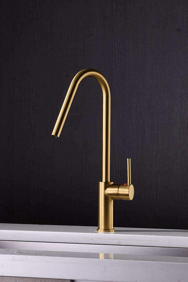 Imex Kenya brushed gold single-lever kitchen faucet