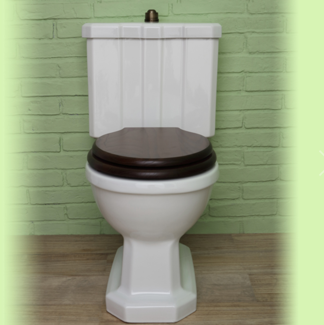 Classic style ground floor toilet with monobloc cistern
